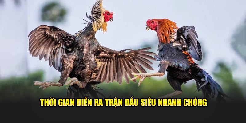 Thời gian diễn ra trận đấu siêu nhanh chóng